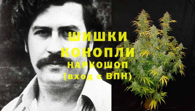 купить   Кириллов  Шишки марихуана Ganja 